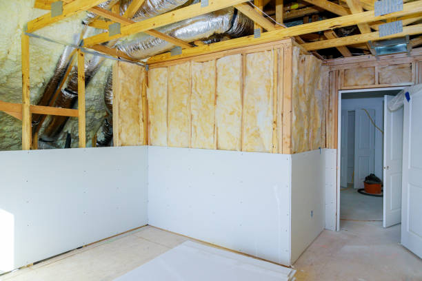 Best Insulation Contractor Near Me  in Patterson, LA